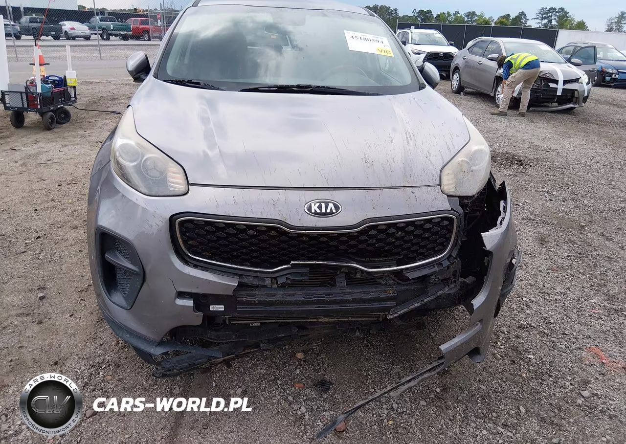 2019 Kia Sportage Lx VIN:KNDPM3AC2K7537654 - 6