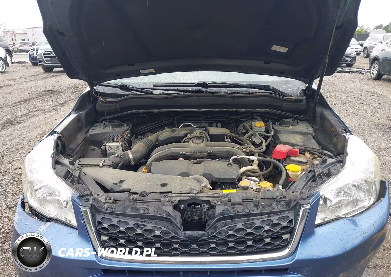 2016 Subaru Forester 2.5I VIN:JF2SJABC7GH452981 - 10