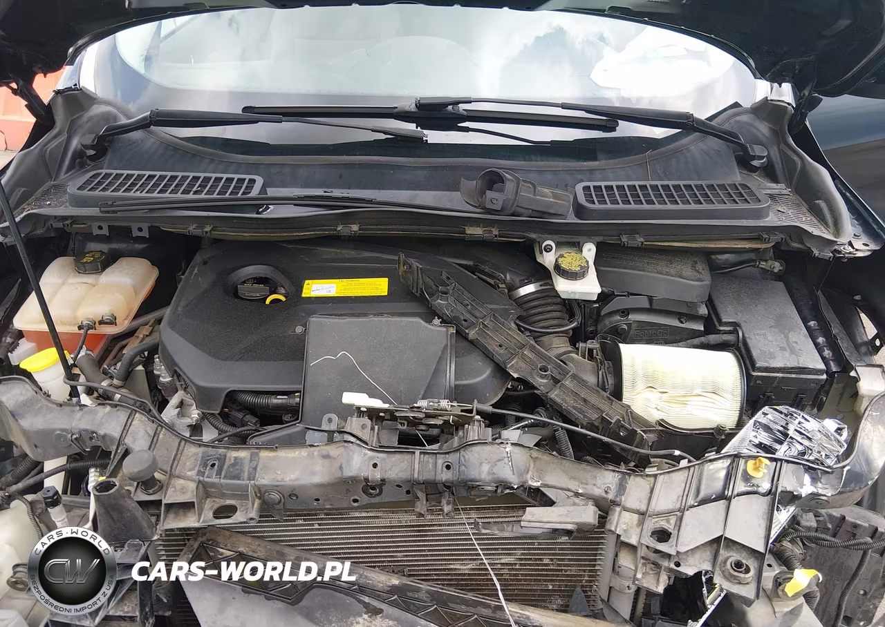 2015 Ford Escape Se VIN:1FMCU0GXXFUB35844 - 10