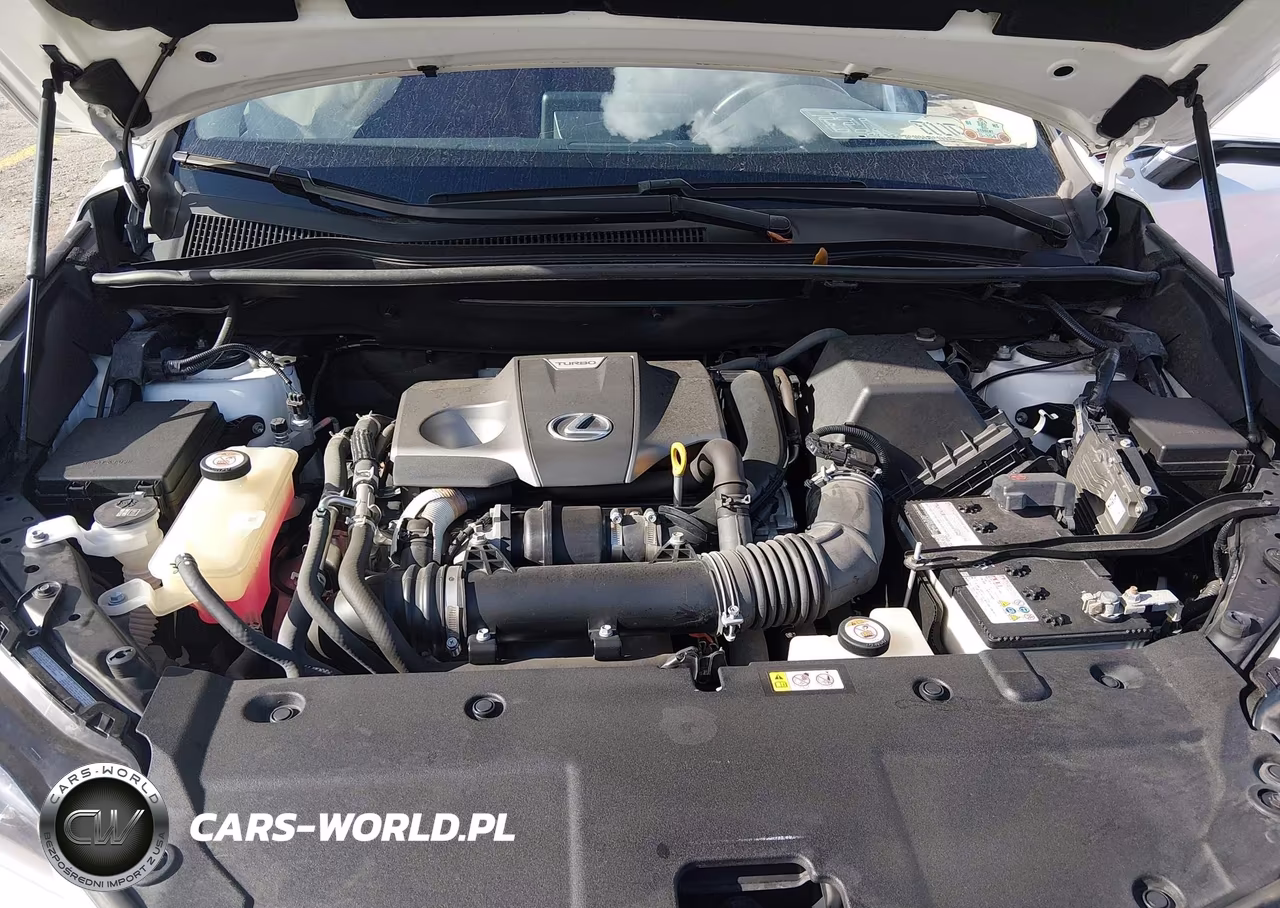 2021 Lexus Nx 300 VIN:JTJDARBZ5M5027523 - 10
