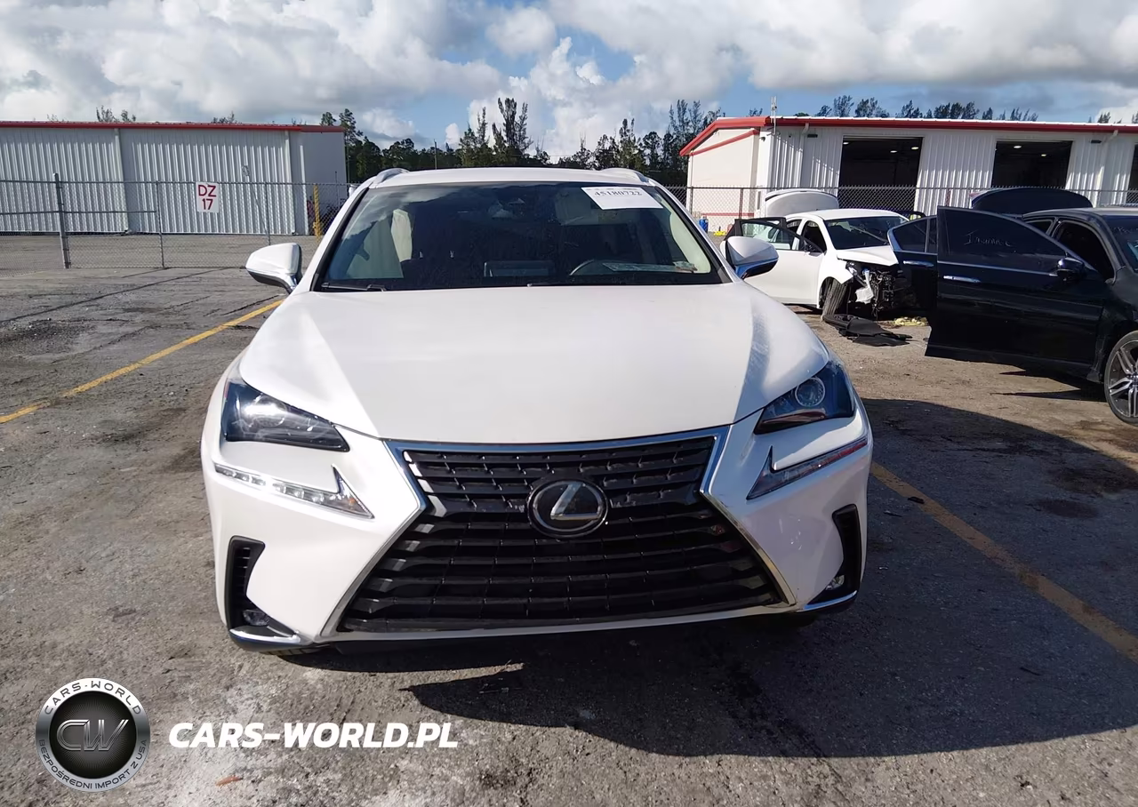 2021 Lexus Nx 300 VIN:JTJDARBZ5M5027523 - 12