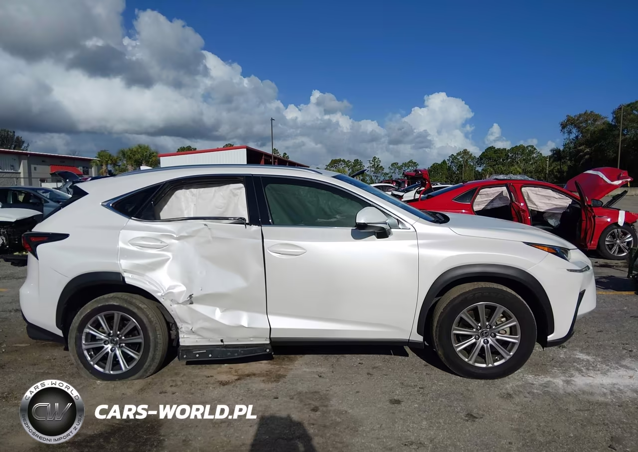 2021 Lexus Nx 300 VIN:JTJDARBZ5M5027523 - 13