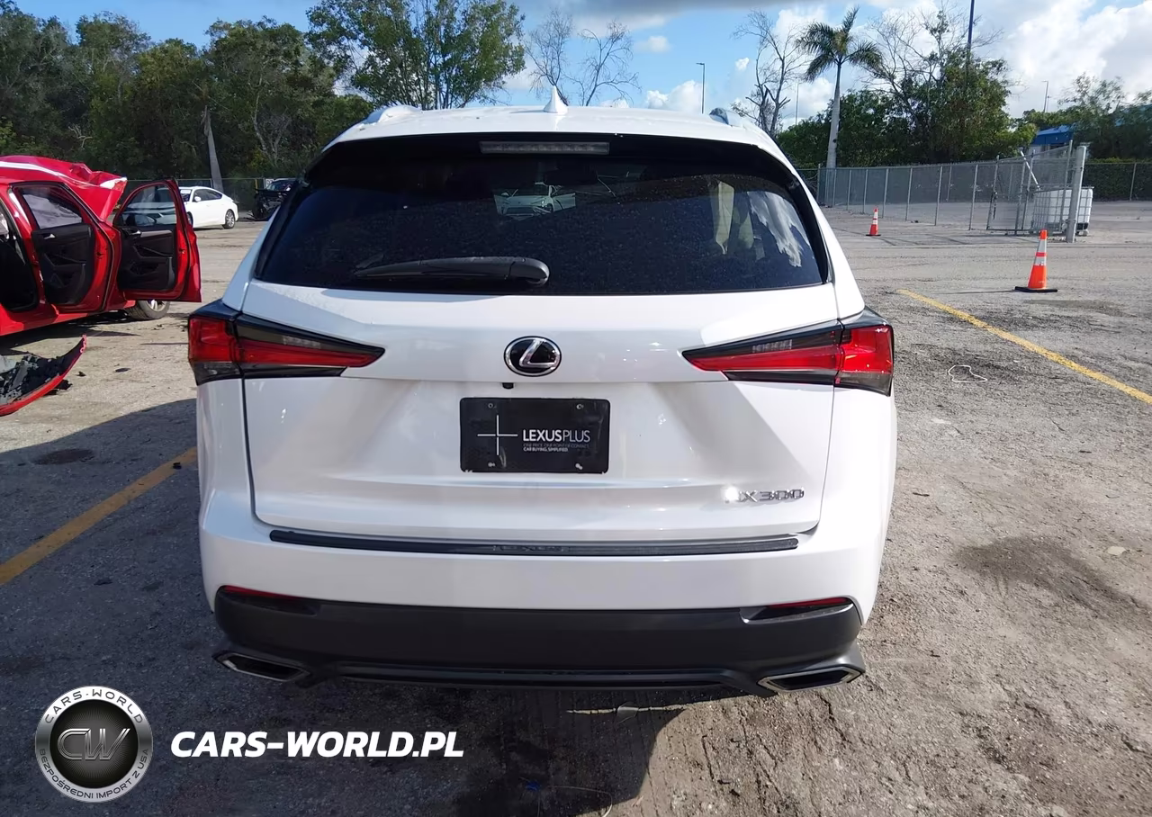2021 Lexus Nx 300 VIN:JTJDARBZ5M5027523 - 16