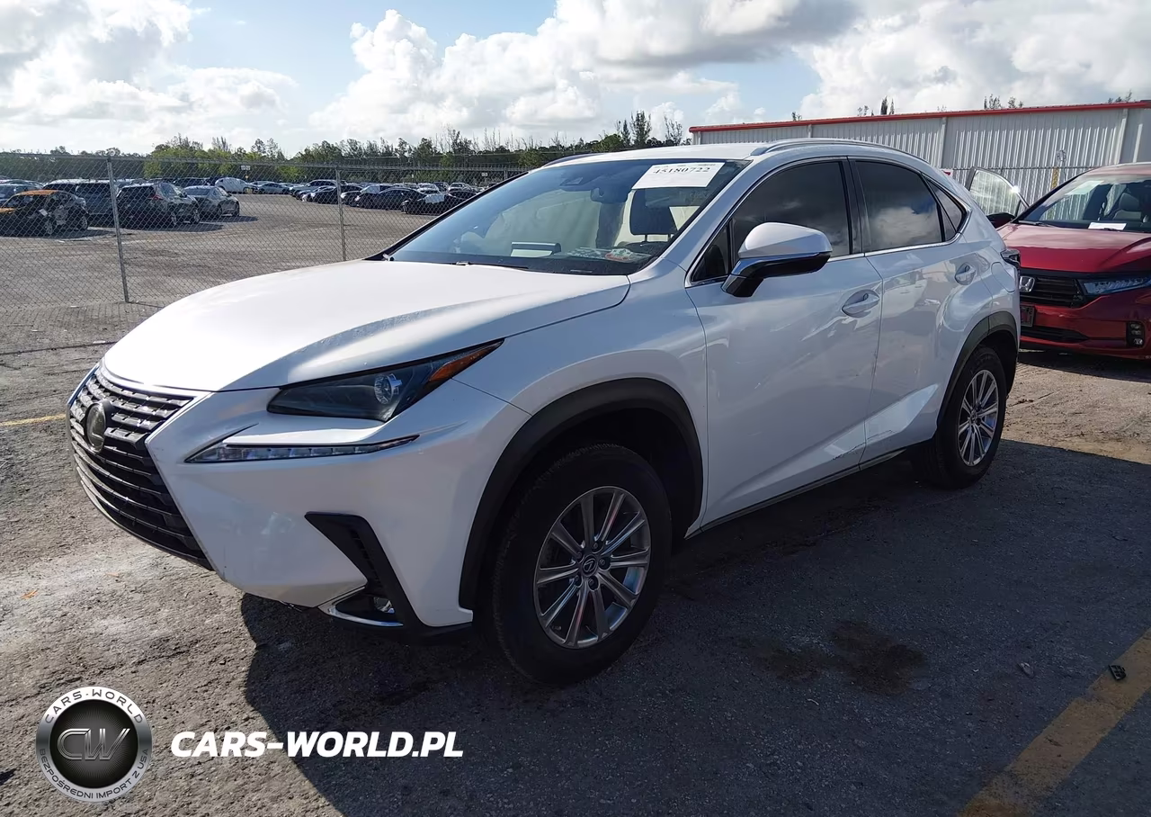 2021 Lexus Nx 300 VIN:JTJDARBZ5M5027523 - 2