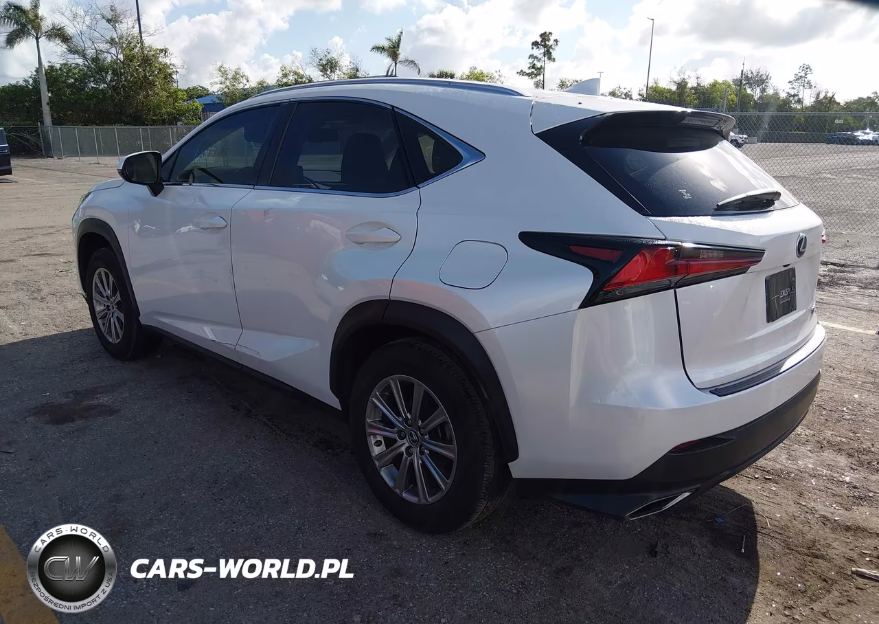 2021 Lexus Nx 300 VIN:JTJDARBZ5M5027523 - 3