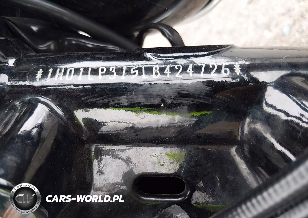 2020 Harley-Davidson Xl1200 Ns VIN:1HD1LP315LB424726 - 10