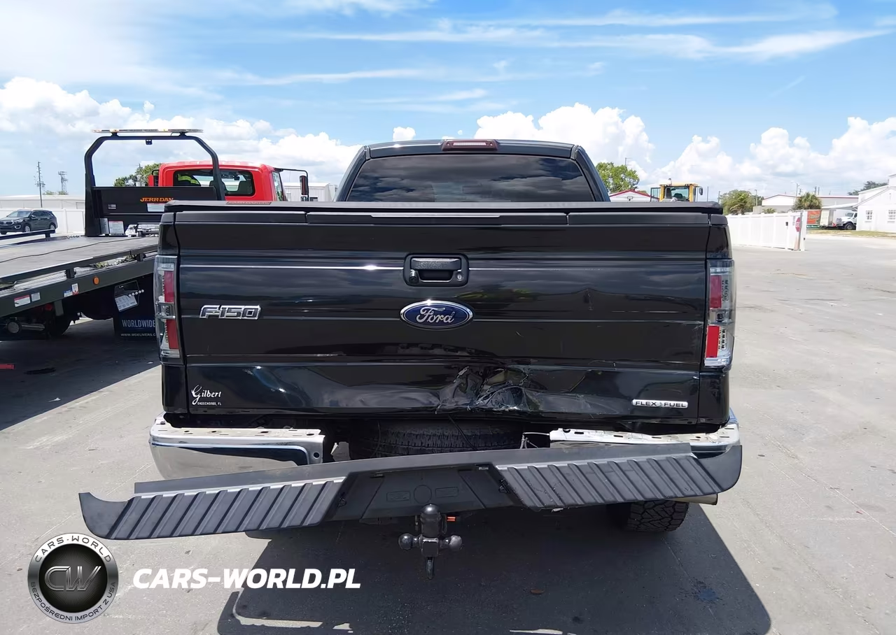 2014 Ford F-150 Xlt VIN:1FTEX1EM1EFA99175 - 16