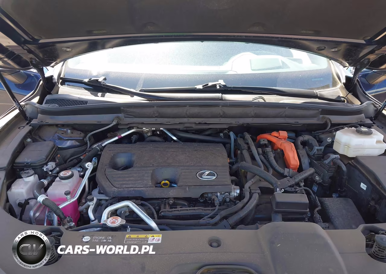 2024 Lexus Rx 450H+ Luxury VIN:JTJCJMGA8R2011777 - 10