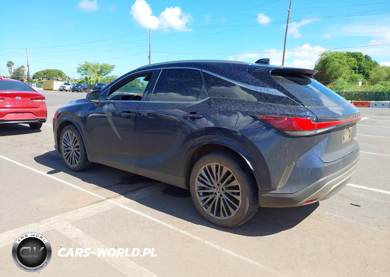 2024 Lexus Rx 450H+ Luxury VIN:JTJCJMGA8R2011777 - 3