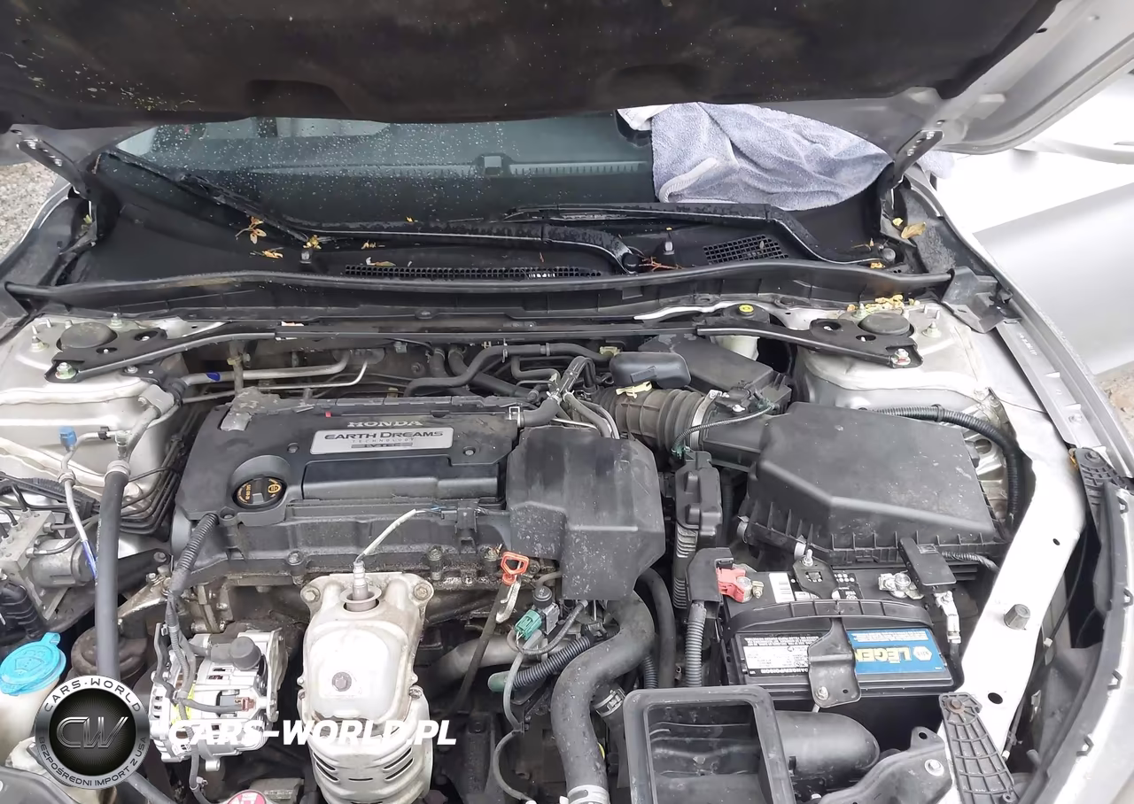 2013 Honda Accord Ex-L VIN:1HGCR2F81DA268391 - 10