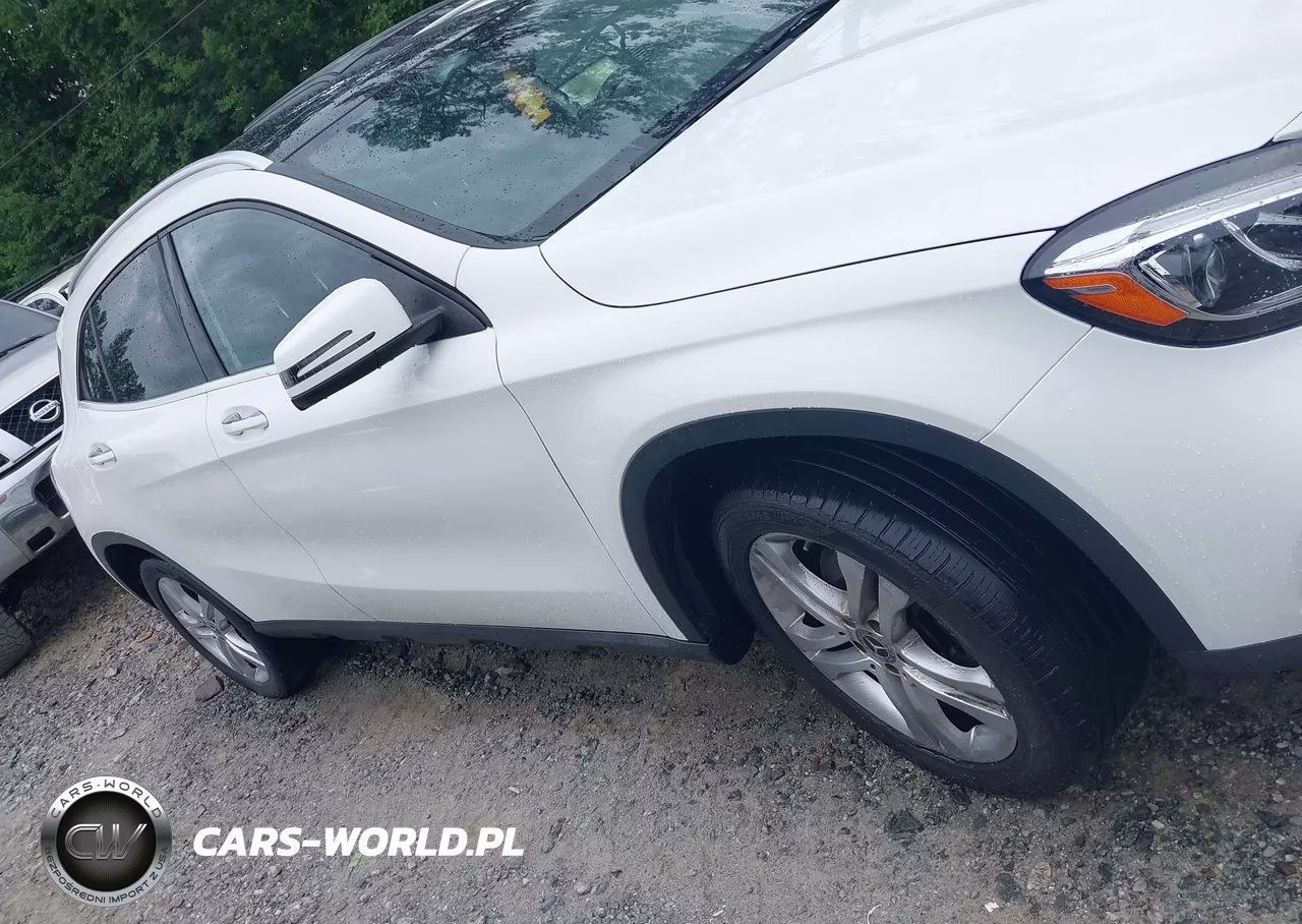 2020 Mercedes-Benz Gla 250 VIN:W1NTG4EBXLU029859 - 13