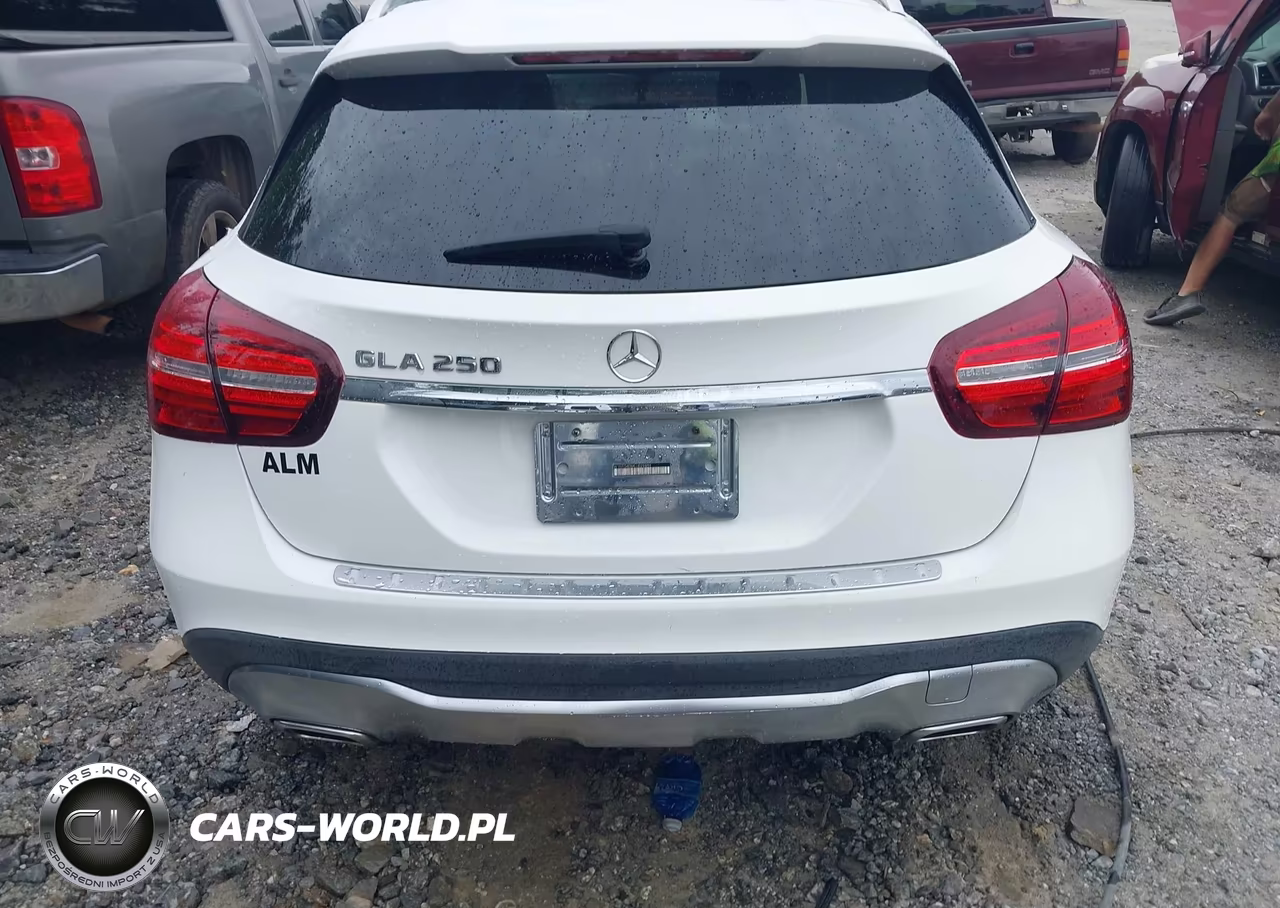 2020 Mercedes-Benz Gla 250 VIN:W1NTG4EBXLU029859 - 16