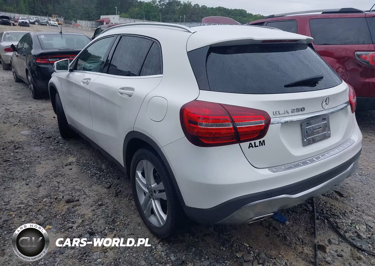 2020 Mercedes-Benz Gla 250 VIN:W1NTG4EBXLU029859 - 3