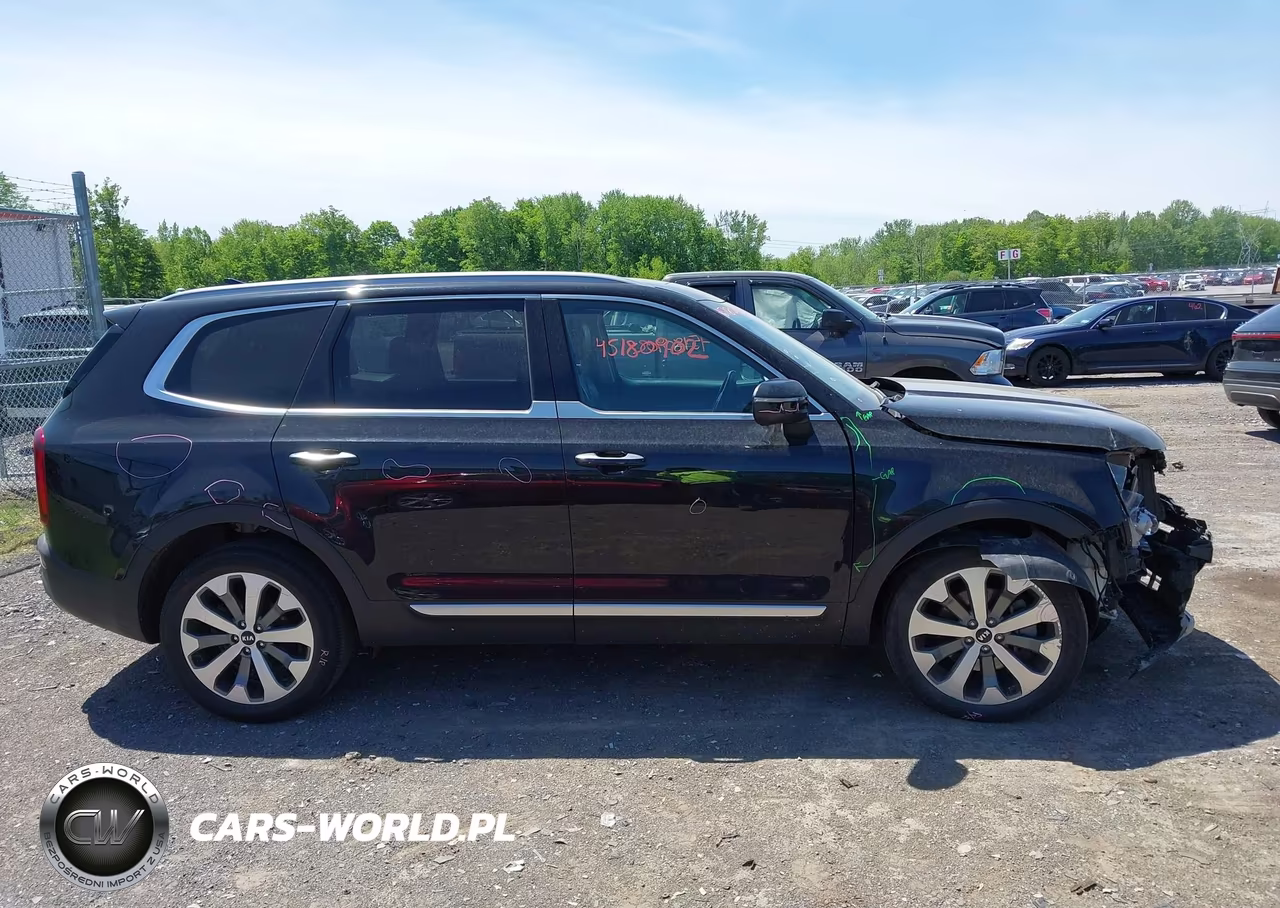 2020 Kia Telluride S VIN:5XYP6DHCXLG086015 - 13