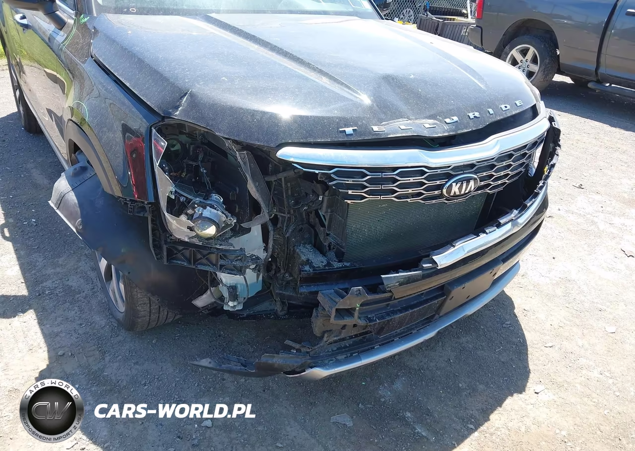 2020 Kia Telluride S VIN:5XYP6DHCXLG086015 - 6