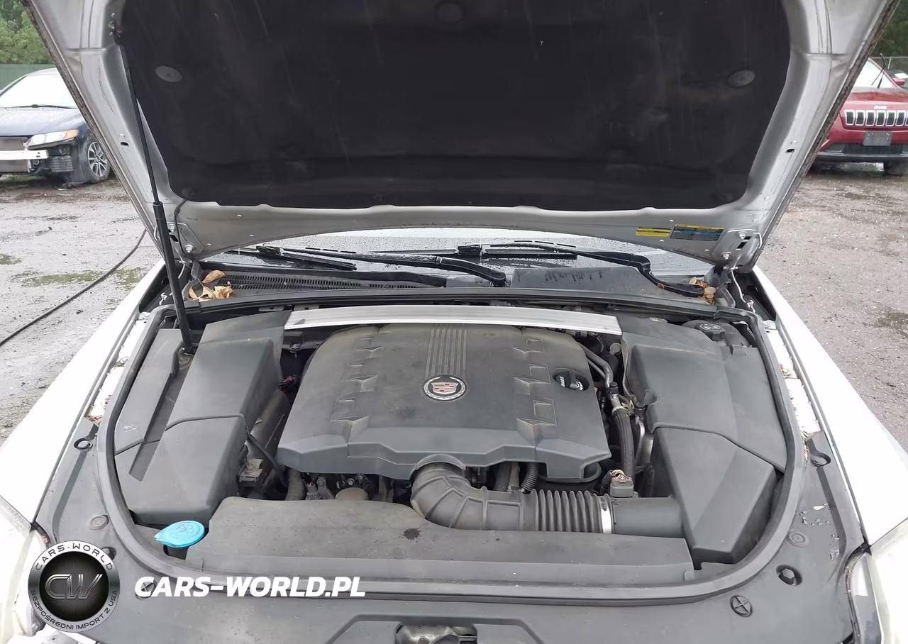 2010 Cadillac Cts Luxury VIN:1G6DG5EG3A0101084 - 10