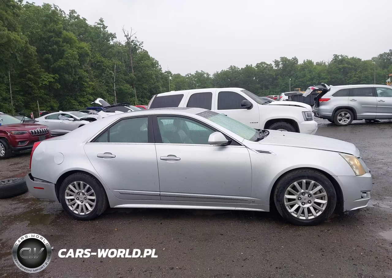 2010 Cadillac Cts Luxury VIN:1G6DG5EG3A0101084 - 13
