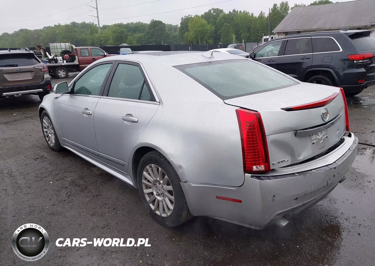 2010 Cadillac Cts Luxury VIN:1G6DG5EG3A0101084 - 3