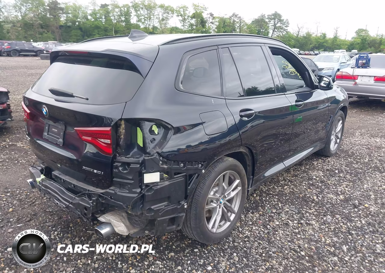 2020 BMW X3 xDrive30I VIN:5UXTY5C05L9B95691 - 4