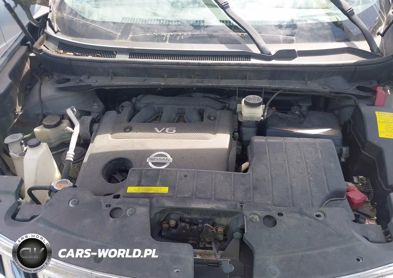 2010 Nissan Murano S VIN:JN8AZ1MW4AW114617 - 10