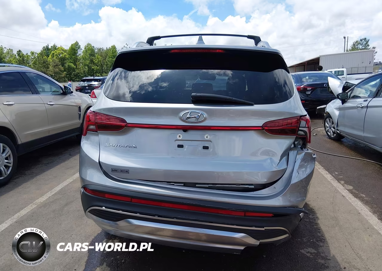 2023 Hyundai Santa Fe Sel VIN:5NMS34AJ9PH615882 - 17