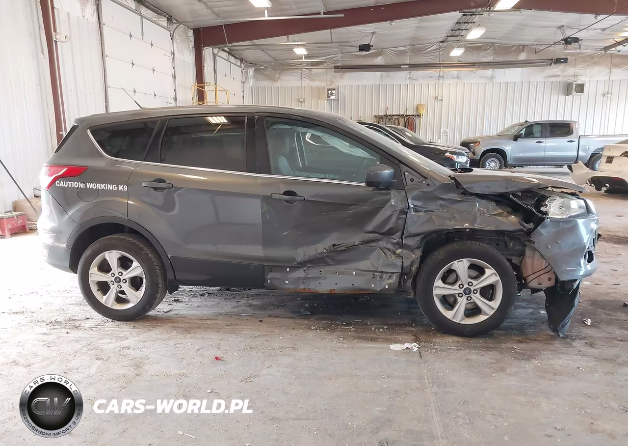 2015 Ford Escape Se VIN:1FMCU0GX3FUC60362 - 13