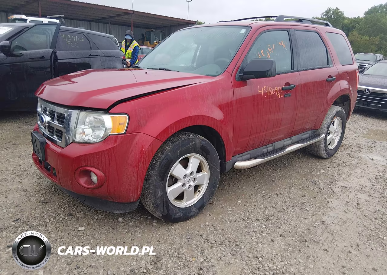 2011 Ford Escape Xlt VIN:1FMCU0DG8BKB38980 - 2