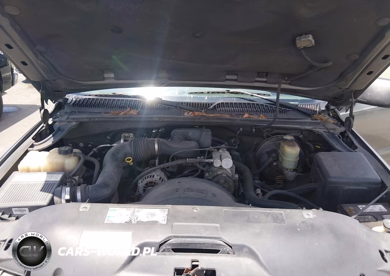 2002 Chevrolet Silverado 1500 Commercial VIN:1GCEC14W62Z166071 - 10