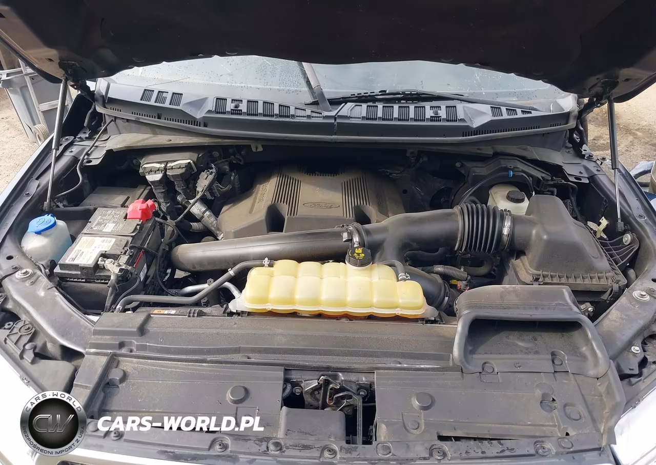 2019 Ford F-150 Platinum VIN:1FTFW1E42KFB10199 - 10