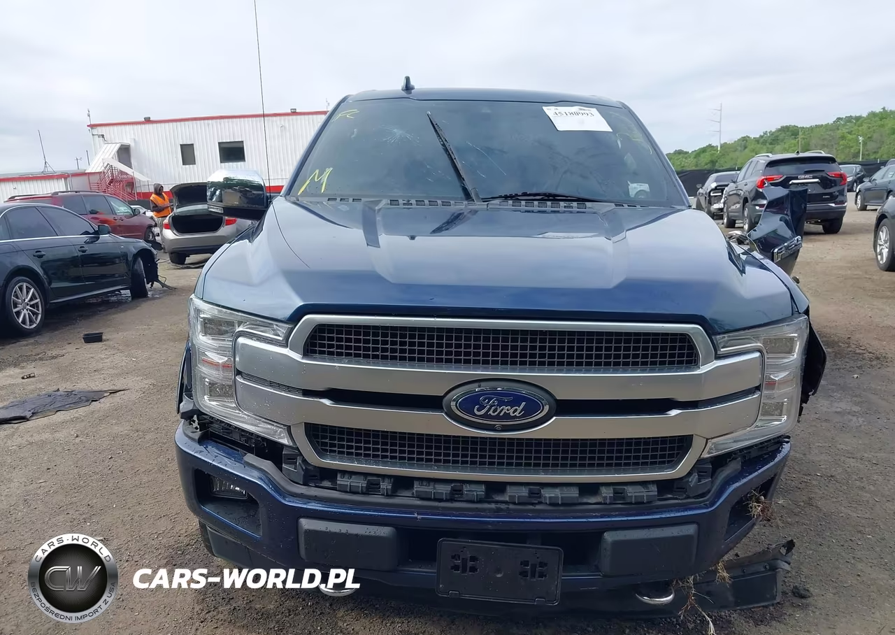2019 Ford F-150 Platinum VIN:1FTFW1E42KFB10199 - 13