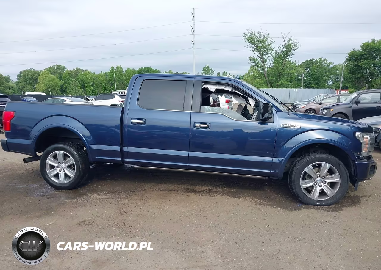 2019 Ford F-150 Platinum VIN:1FTFW1E42KFB10199 - 14
