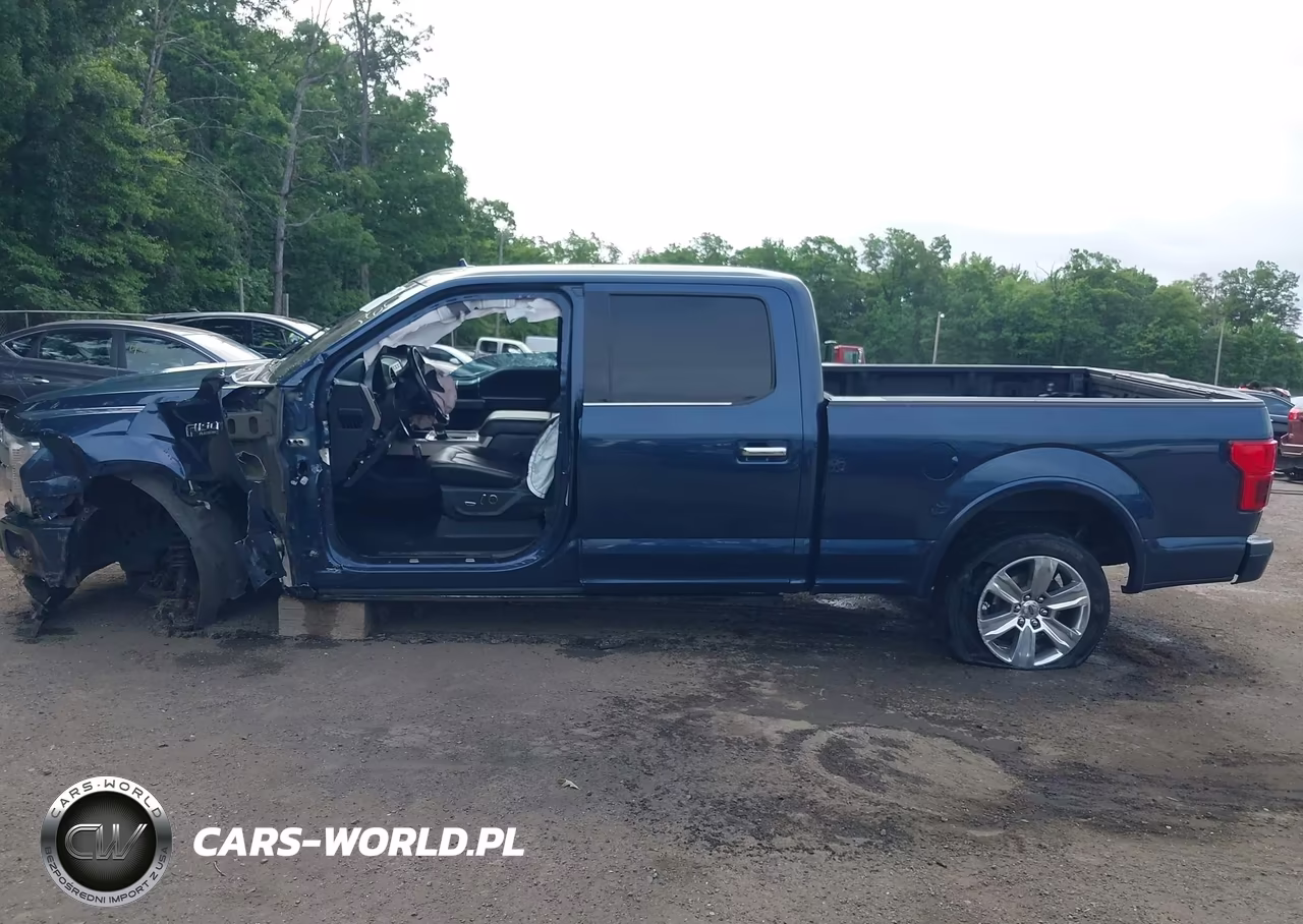 2019 Ford F-150 Platinum VIN:1FTFW1E42KFB10199 - 15