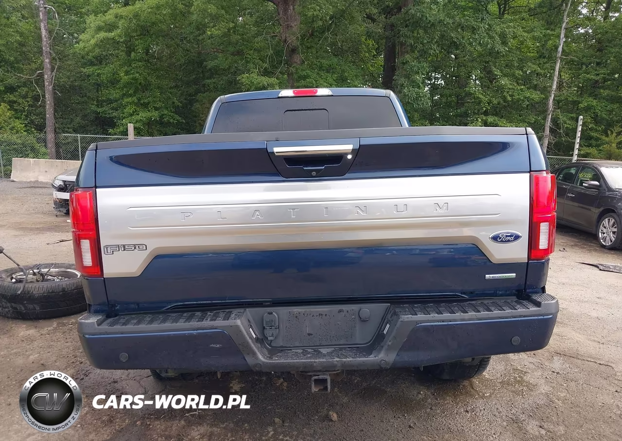 2019 Ford F-150 Platinum VIN:1FTFW1E42KFB10199 - 17