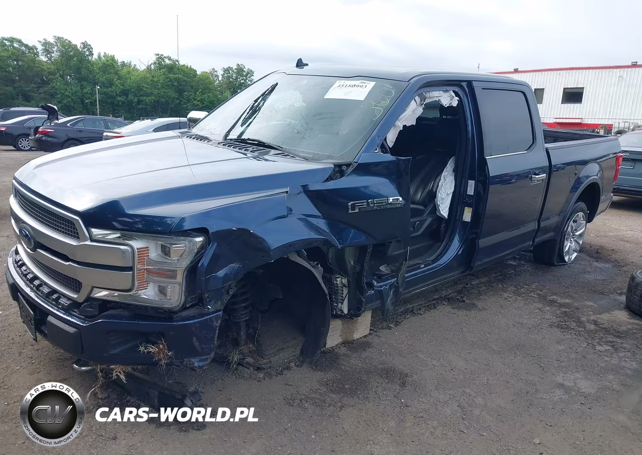2019 Ford F-150 Platinum VIN:1FTFW1E42KFB10199 - 2