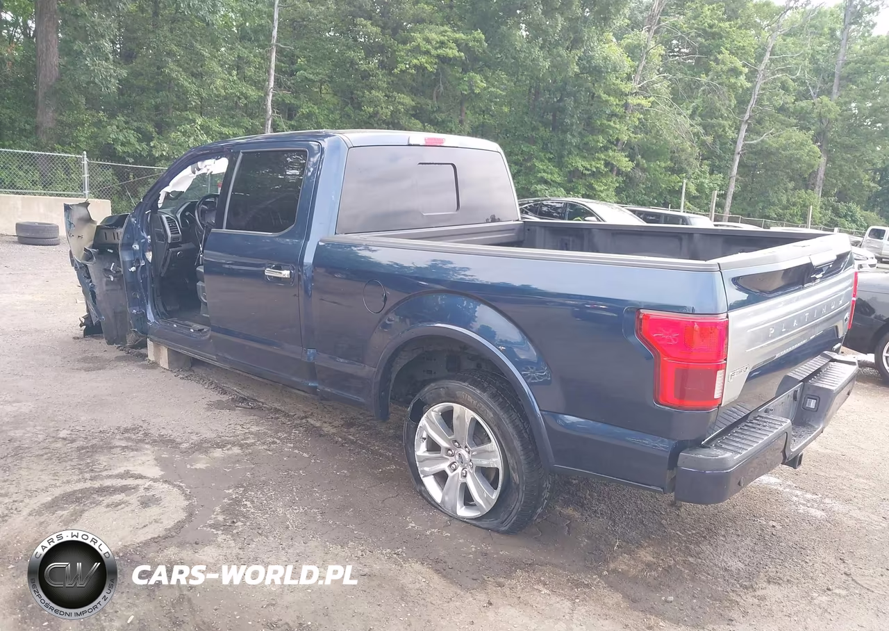 2019 Ford F-150 Platinum VIN:1FTFW1E42KFB10199 - 3