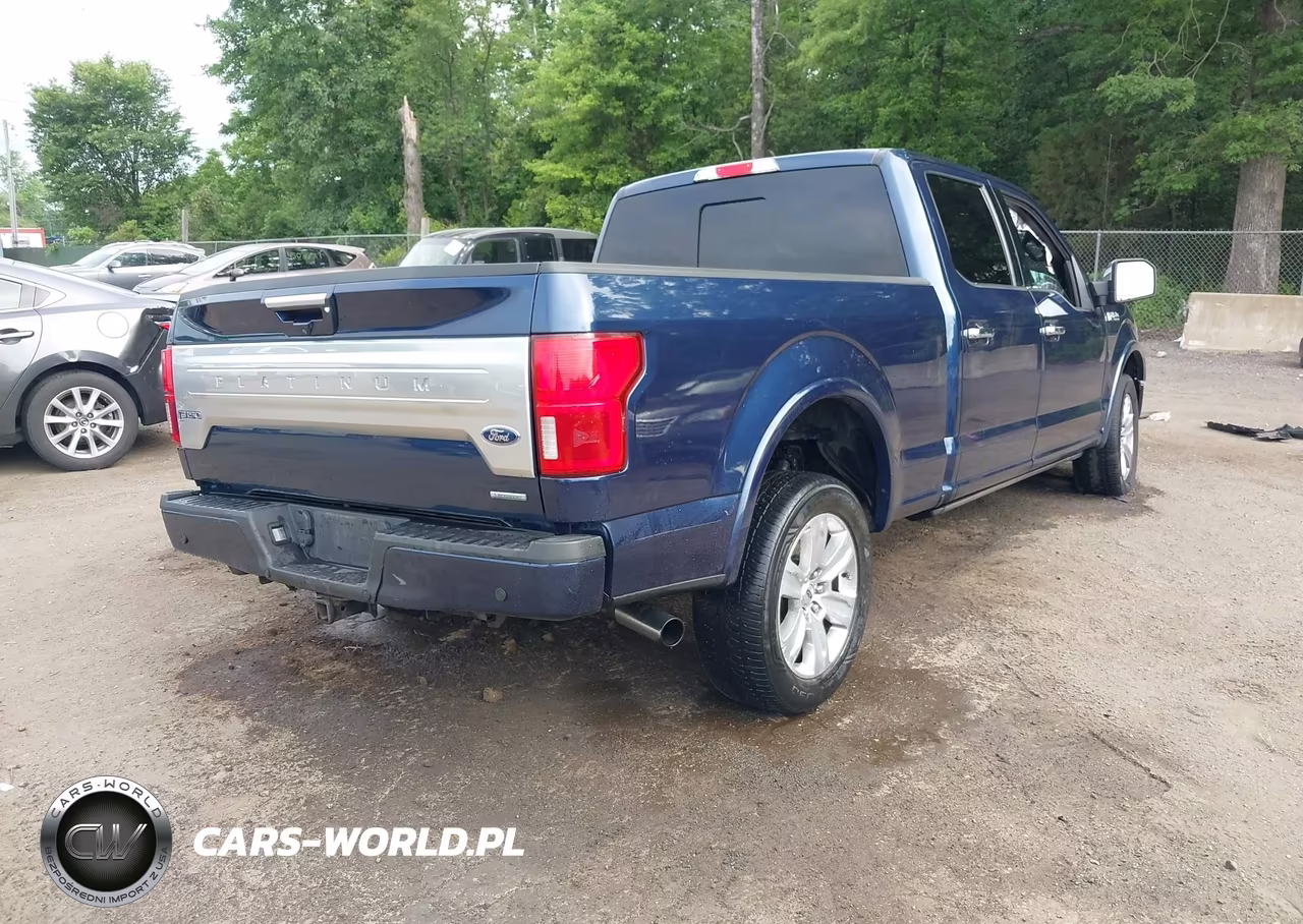 2019 Ford F-150 Platinum VIN:1FTFW1E42KFB10199 - 4