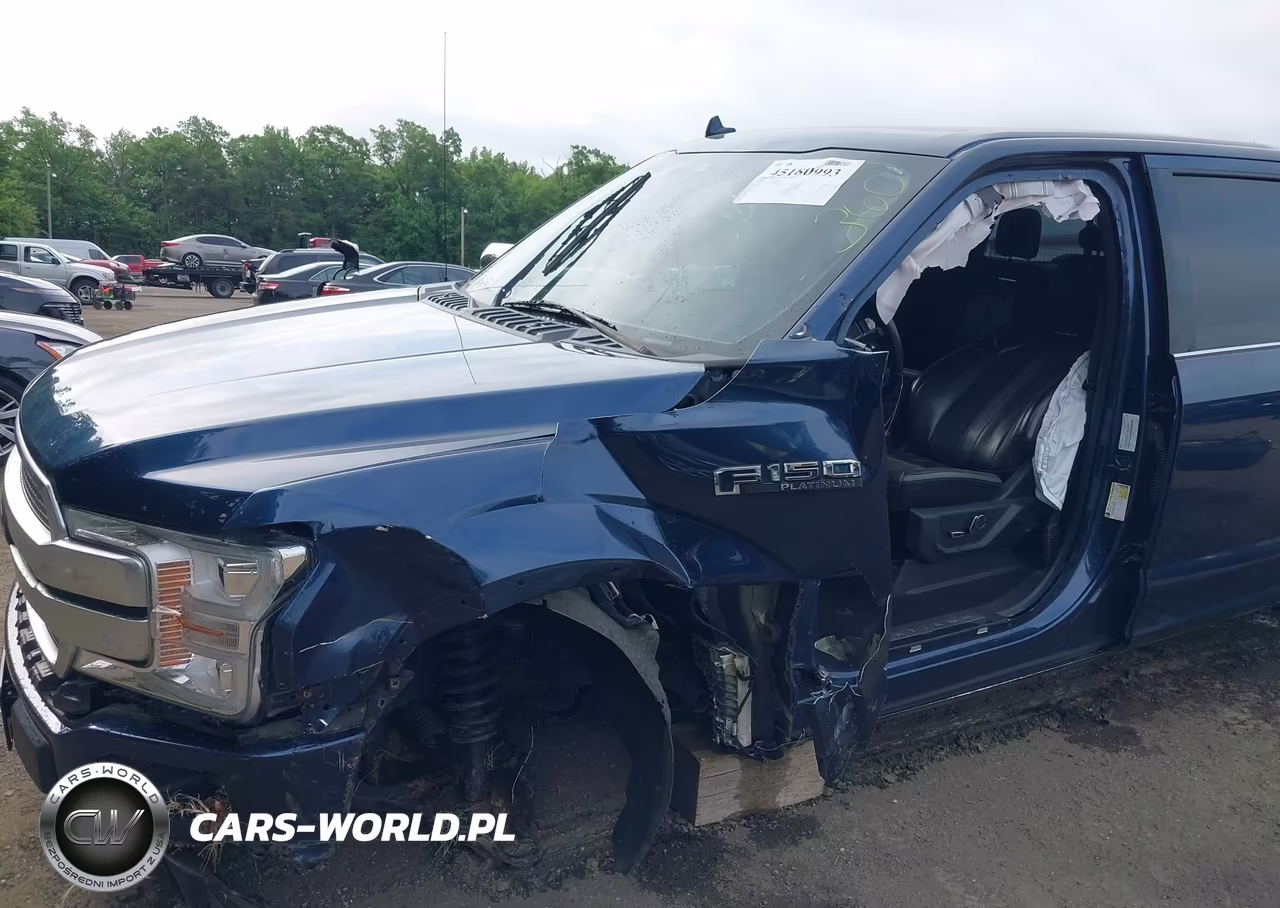 2019 Ford F-150 Platinum VIN:1FTFW1E42KFB10199 - 6
