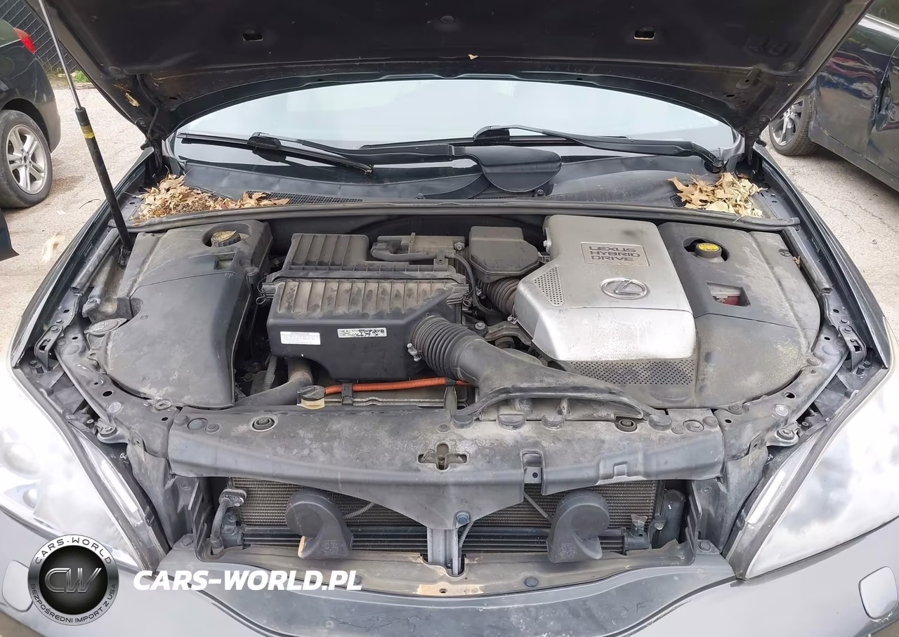 2008 Lexus Rx 400H VIN:JTJHW31U582867332 - 10