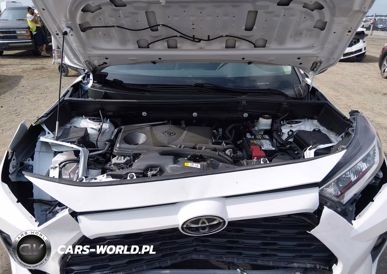 2019 Toyota Rav4 Xle VIN:2T3W1RFVXKW010810 - 10