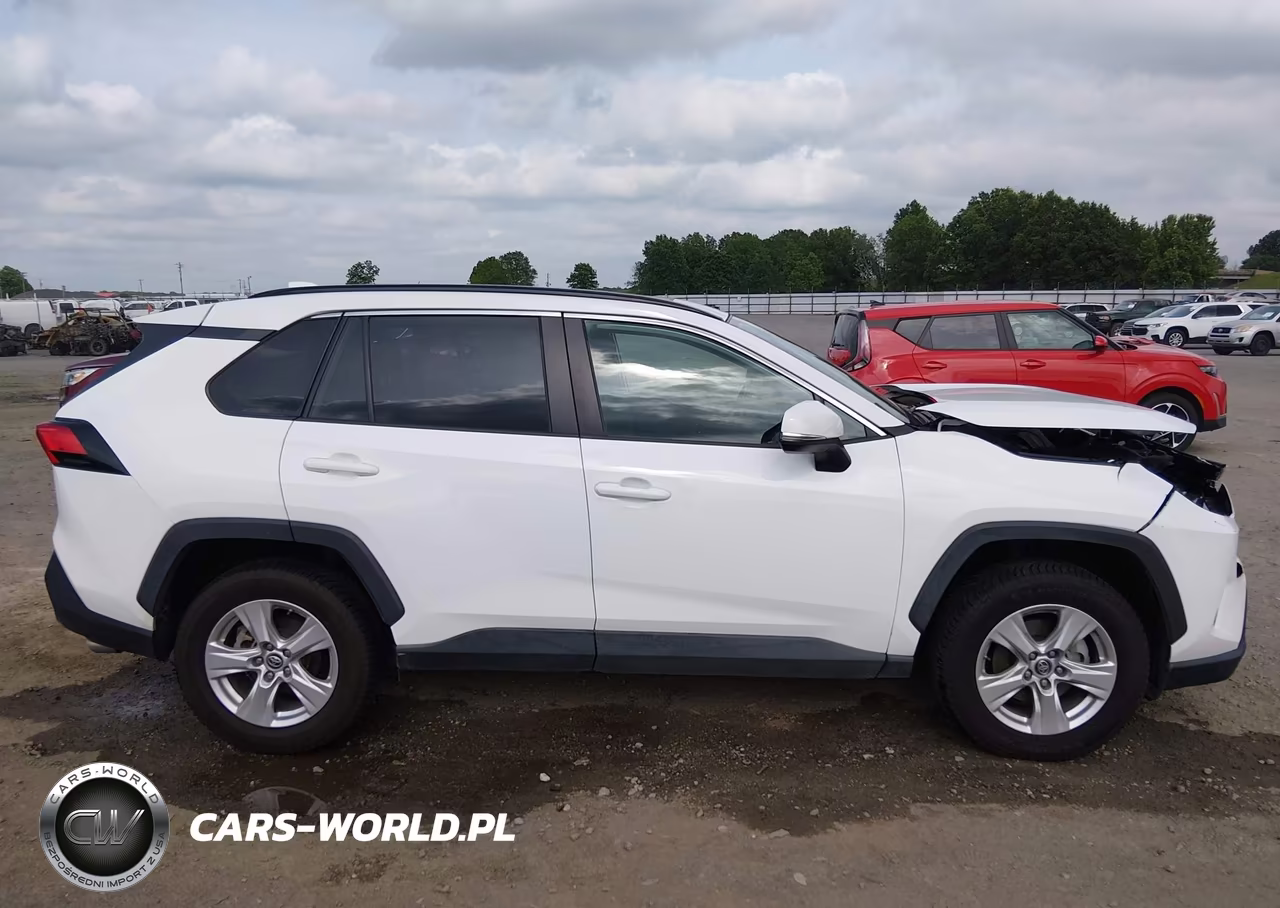 2019 Toyota Rav4 Xle VIN:2T3W1RFVXKW010810 - 14