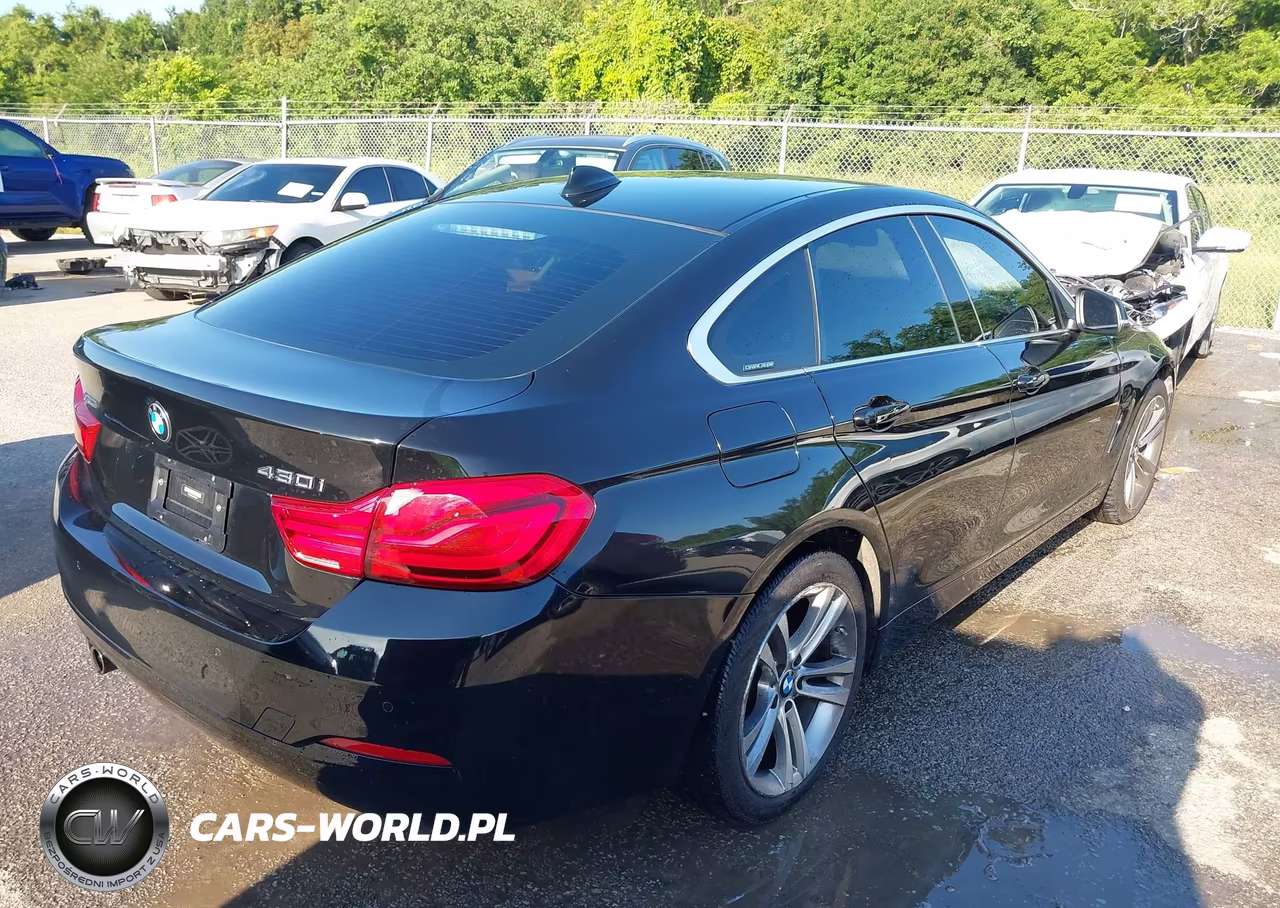 2018 BMW 430I Gran Coupe xDrive VIN:WBA4J3C56JBB97303 - 4
