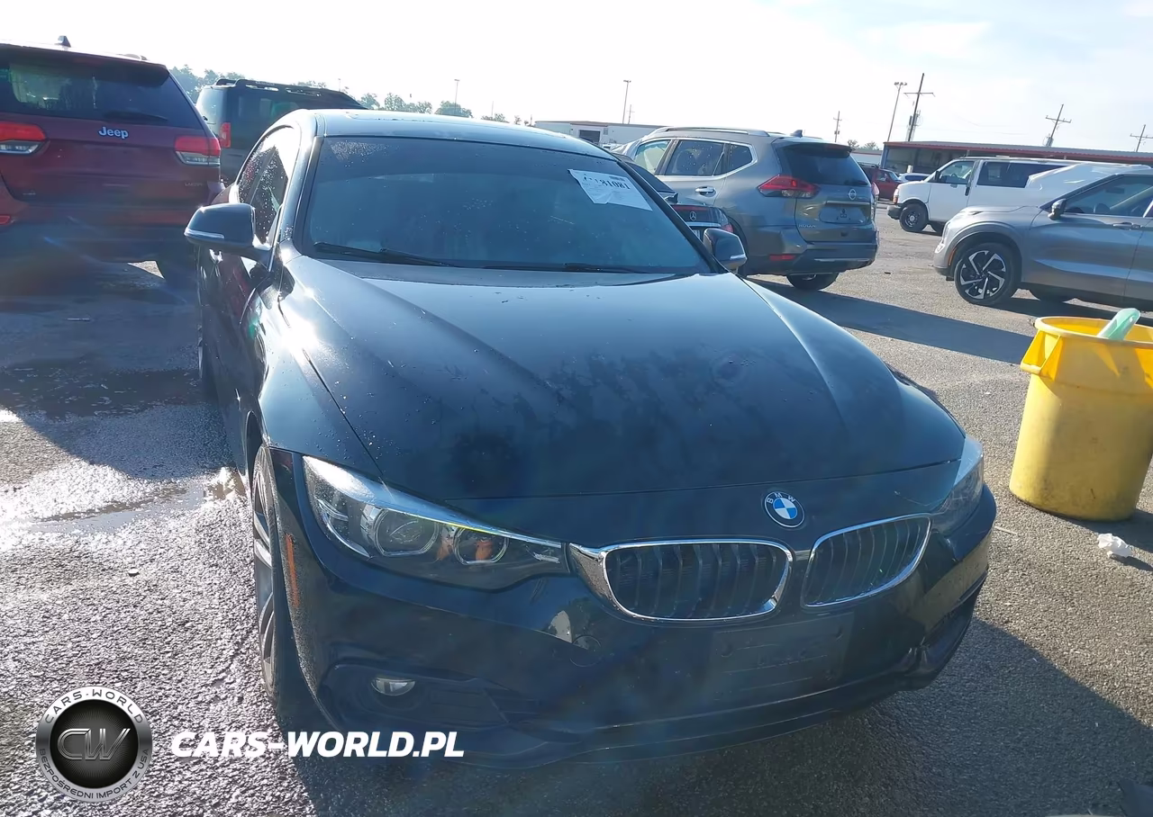 2018 BMW 430I Gran Coupe xDrive VIN:WBA4J3C56JBB97303 - 6