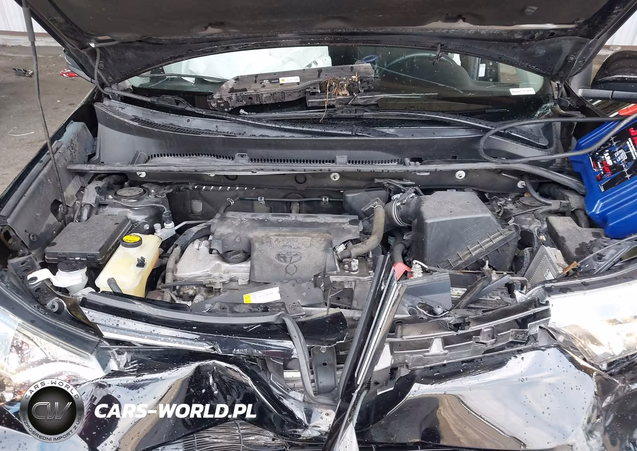 2018 Toyota Rav4 Xle VIN:2T3WFREV6JW483413 - 10