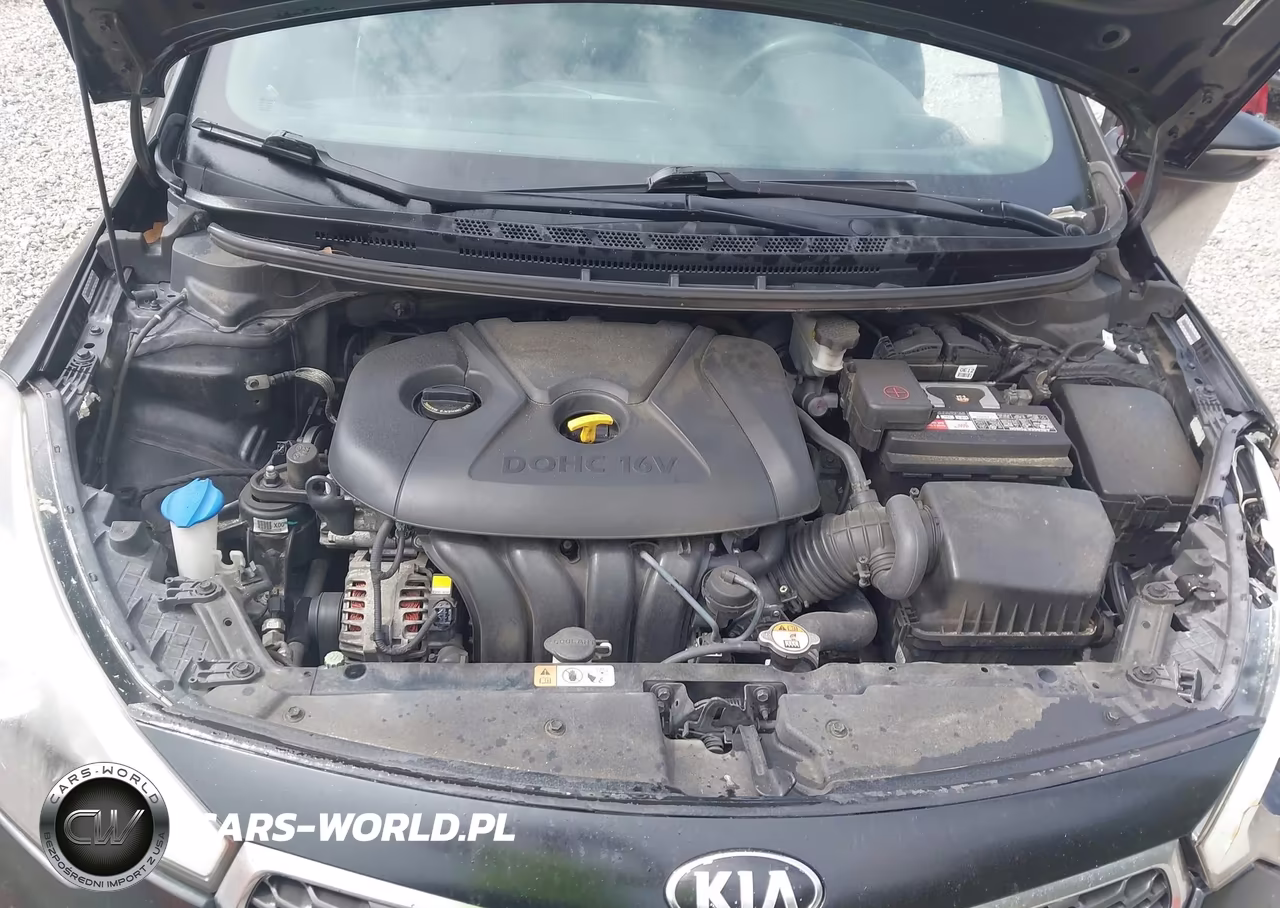 2015 Kia Forte Lx VIN:KNAFX4A66F5339273 - 10