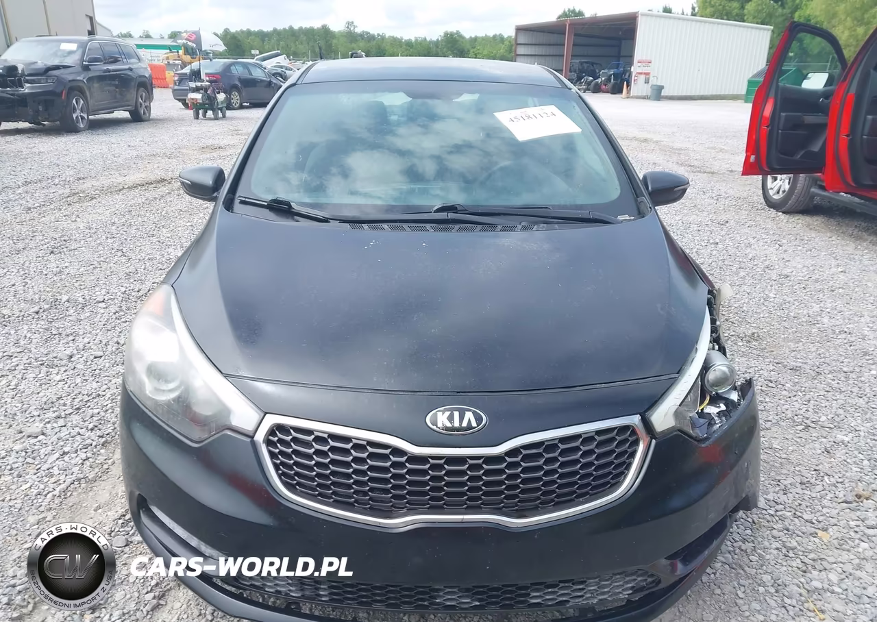 2015 Kia Forte Lx VIN:KNAFX4A66F5339273 - 12
