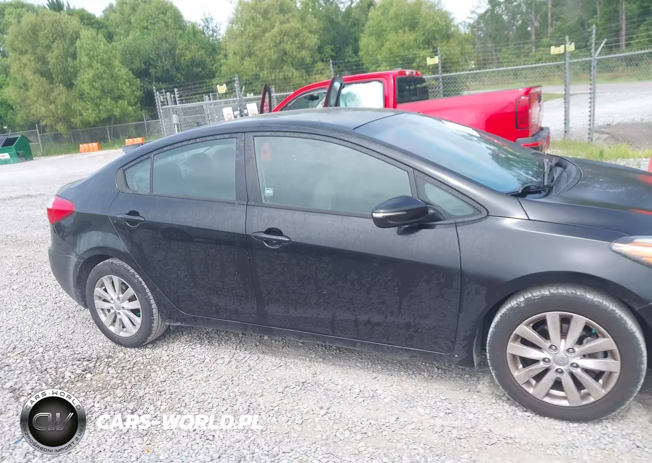 2015 Kia Forte Lx VIN:KNAFX4A66F5339273 - 13