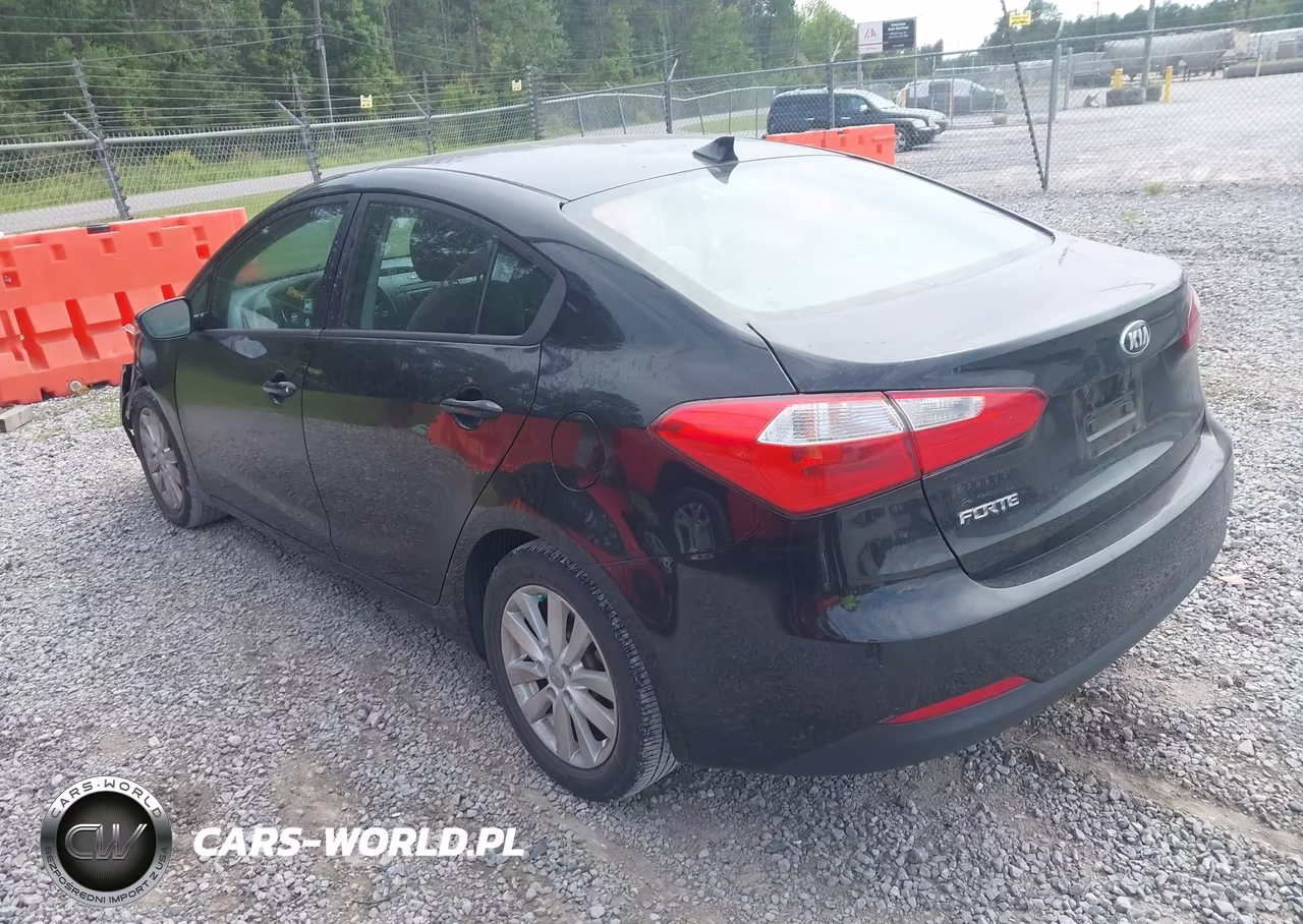 2015 Kia Forte Lx VIN:KNAFX4A66F5339273 - 3