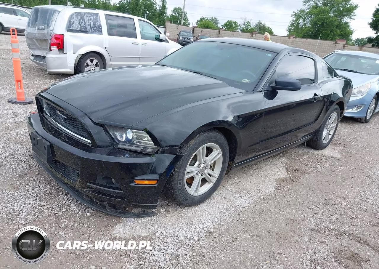 2014 Ford Mustang V6 VIN:1ZVBP8AM7E5281001 - 2
