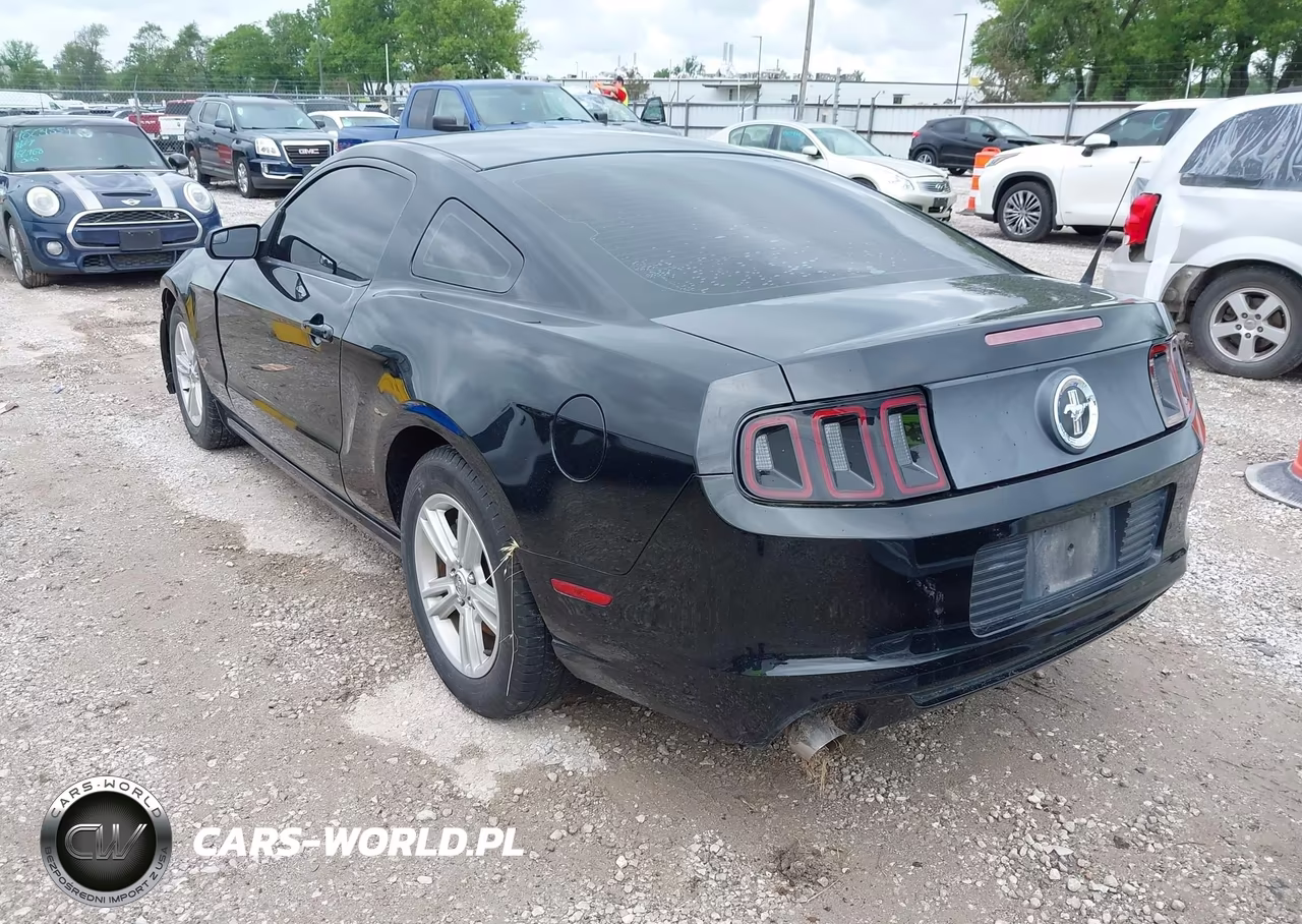 2014 Ford Mustang V6 VIN:1ZVBP8AM7E5281001 - 3