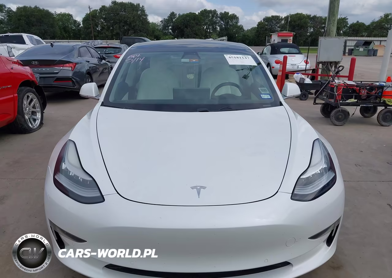 2019 Tesla Model 3 Long Range-Mid Range-Standard Range-Standard Range Plus VIN:5YJ3E1EA1KF312516 - 13